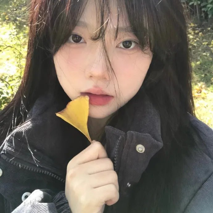 骄阳伴我
